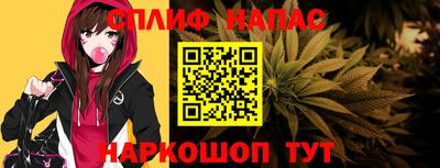 дмт Гатчина