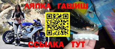 дмт Гатчина